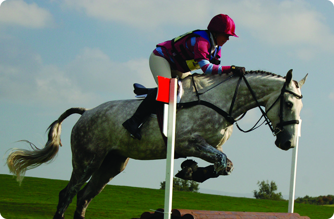 Horse jumping