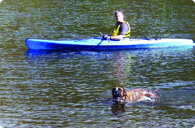 dog swimming in front of boat