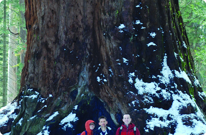 men standing infront of a tree